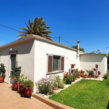 Repanidi Apartment D / Ρεπανίδι Διαμέρισμα Δ Repanidhion Exterior foto